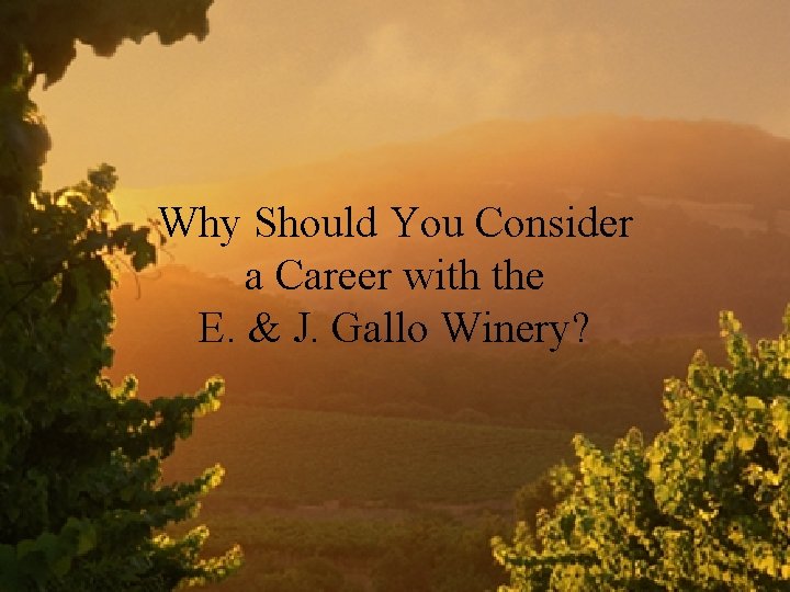 Why Should You Consider a Career with the E. & J. Gallo Winery? Why Should You Consider a Career with the E. & J. Gallo Winery?