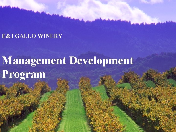 E&J GALLO WINERY Management Development Program E&J GALLO WINERY Management Development Program