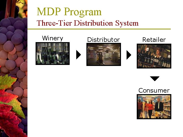 MDP Program Three-Tier Distribution System Winery Distributor 4 Retailer 4 6 Consumer MDP Program Three-Tier Distribution System Winery Distributor 4 Retailer 4 6 Consumer