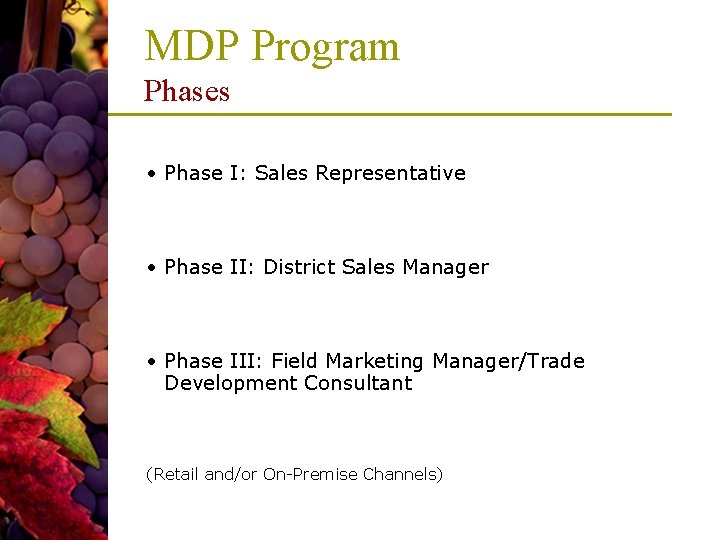 MDP Program Phases • Phase I: Sales Representative • Phase II: District Sales Manager MDP Program Phases • Phase I: Sales Representative • Phase II: District Sales Manager
