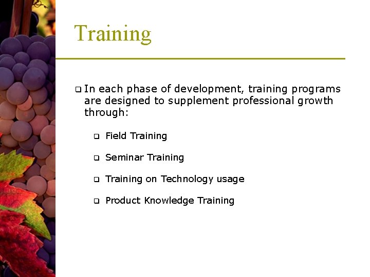 Training q In each phase of development, training programs are designed to supplement professional Training q In each phase of development, training programs are designed to supplement professional