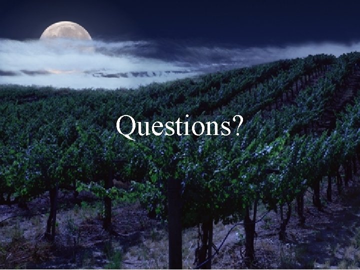 Questions? Questions?