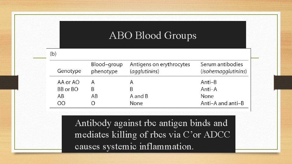 ABO Blood Groups Antibody against rbc antigen binds and mediates killing of rbcs via