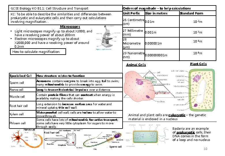GCSE Biology KO B 1. 1: Cell Structure and Transport Orders of magnitude – GCSE Biology KO B 1. 1: Cell Structure and Transport Orders of magnitude –