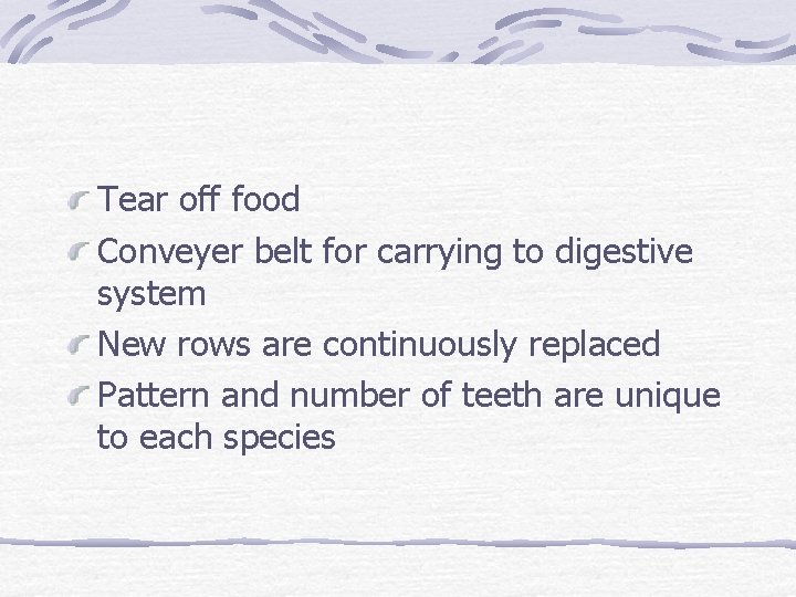 Tear off food Conveyer belt for carrying to digestive system New rows are continuously