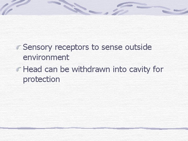 Sensory receptors to sense outside environment Head can be withdrawn into cavity for protection