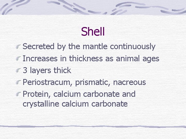 Shell Secreted by the mantle continuously Increases in thickness as animal ages 3 layers