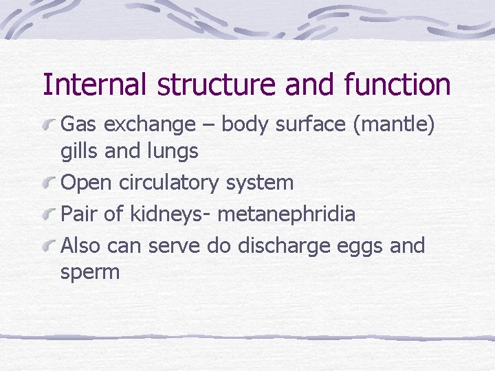 Internal structure and function Gas exchange – body surface (mantle) gills and lungs Open