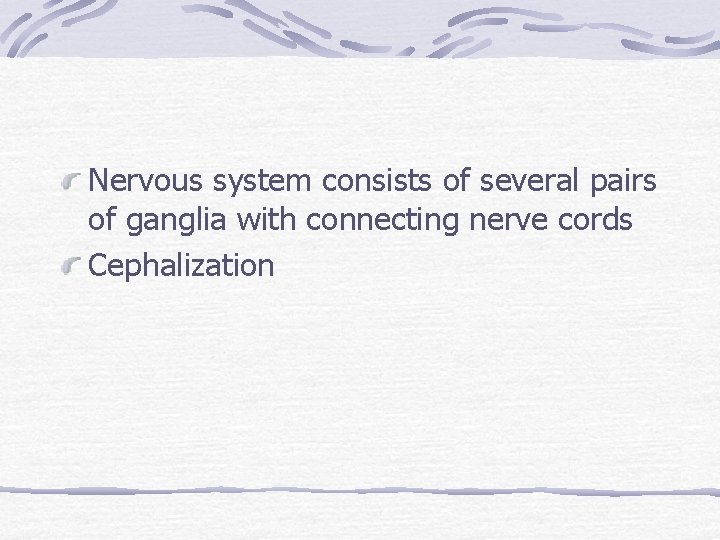 Nervous system consists of several pairs of ganglia with connecting nerve cords Cephalization 
