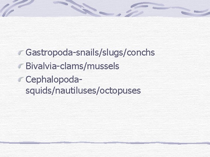 Gastropoda-snails/slugs/conchs Bivalvia-clams/mussels Cephalopodasquids/nautiluses/octopuses 
