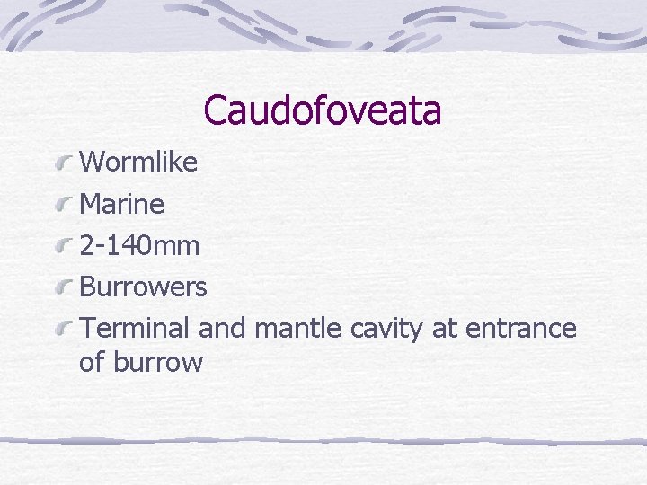 Caudofoveata Wormlike Marine 2 -140 mm Burrowers Terminal and mantle cavity at entrance of