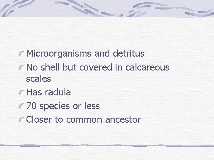 Microorganisms and detritus No shell but covered in calcareous scales Has radula 70 species