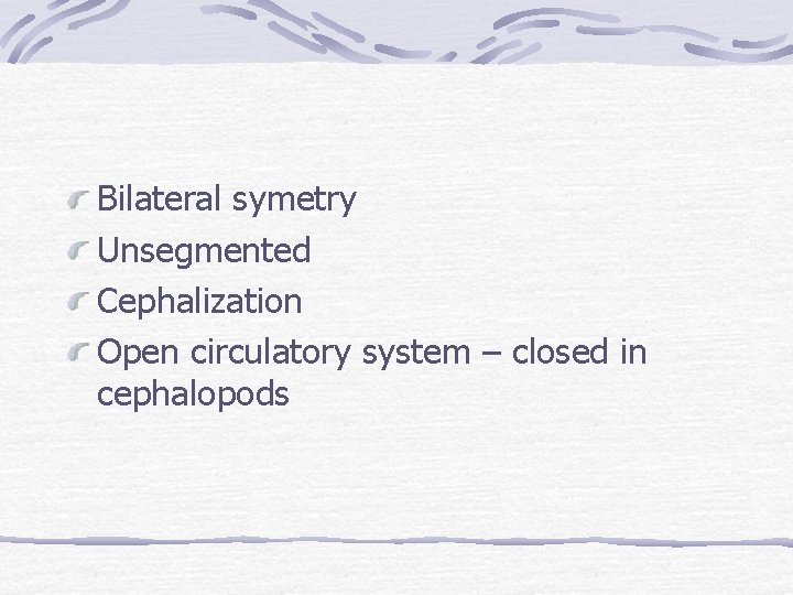 Bilateral symetry Unsegmented Cephalization Open circulatory system – closed in cephalopods 