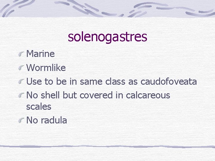 solenogastres Marine Wormlike Use to be in same class as caudofoveata No shell but