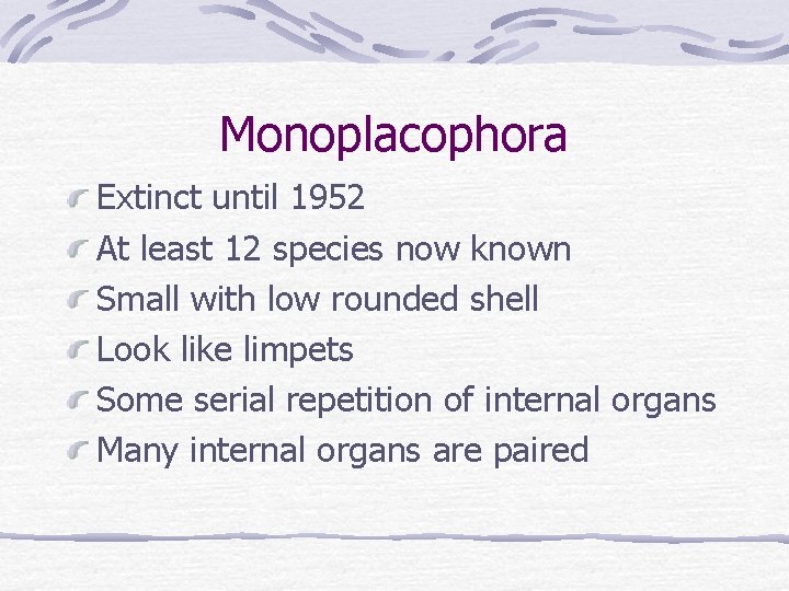 Monoplacophora Extinct until 1952 At least 12 species now known Small with low rounded