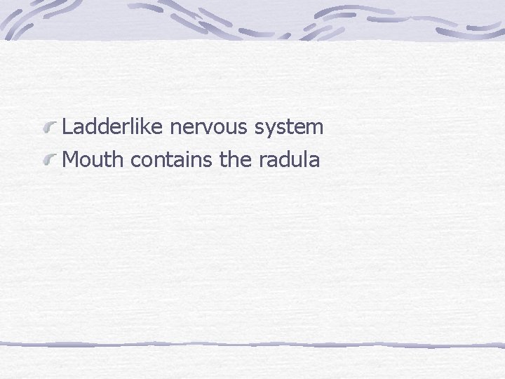 Ladderlike nervous system Mouth contains the radula 