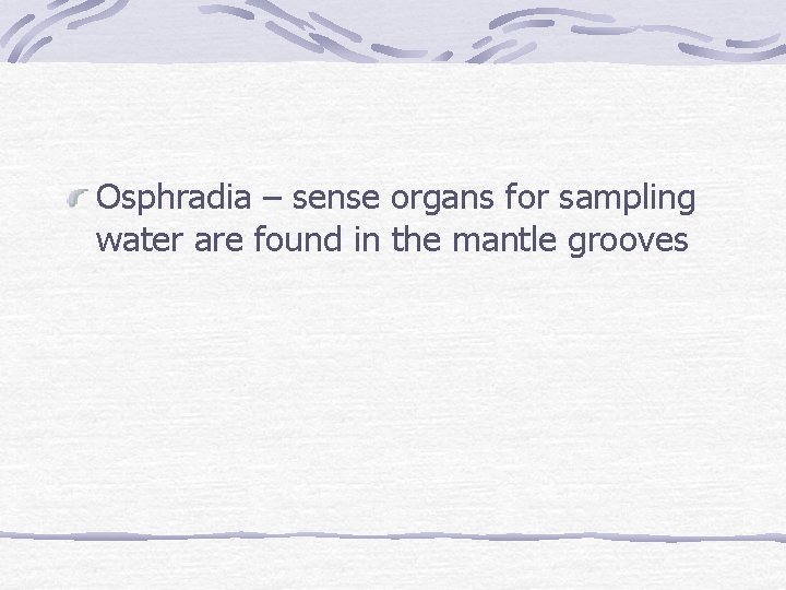 Osphradia – sense organs for sampling water are found in the mantle grooves 
