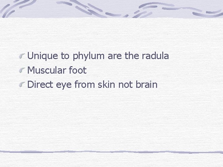 Unique to phylum are the radula Muscular foot Direct eye from skin not brain