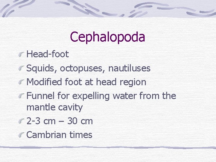 Cephalopoda Head-foot Squids, octopuses, nautiluses Modified foot at head region Funnel for expelling water