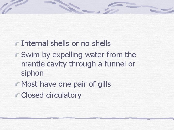 Internal shells or no shells Swim by expelling water from the mantle cavity through