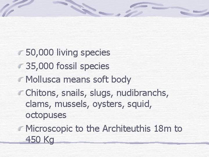 50, 000 living species 35, 000 fossil species Mollusca means soft body Chitons, snails,
