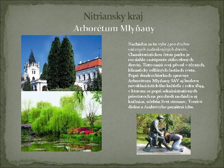 Nitriansky kraj Arborétum Mlyňany Nachádza sa tu vyše 2300 druhov vzácnych cudzokrajných drevín. Charakteristickou