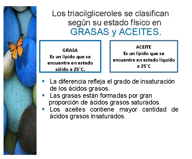 Los triacilgliceroles se clasifican según su estado físico en GRASAS y ACEITES. GRASA Es Los triacilgliceroles se clasifican según su estado físico en GRASAS y ACEITES. GRASA Es