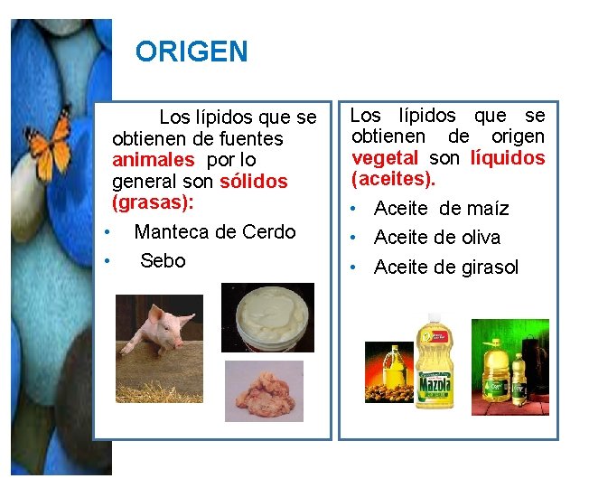 ORIGEN Los lípidos que se obtienen de fuentes animales por lo general son sólidos ORIGEN Los lípidos que se obtienen de fuentes animales por lo general son sólidos