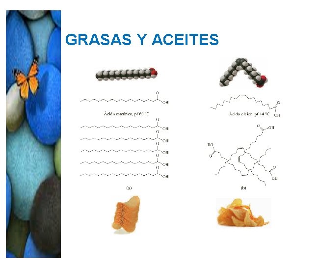 GRASAS Y ACEITES GRASA ACEITE GRASAS Y ACEITES GRASA ACEITE