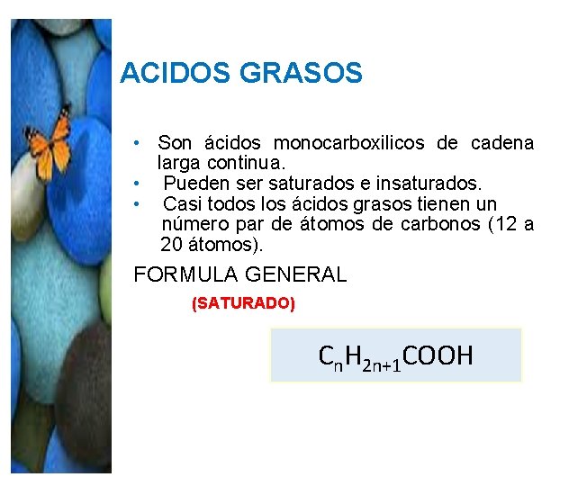 ACIDOS GRASOS • Son ácidos monocarboxilicos de cadena larga continua. • Pueden ser saturados ACIDOS GRASOS • Son ácidos monocarboxilicos de cadena larga continua. • Pueden ser saturados