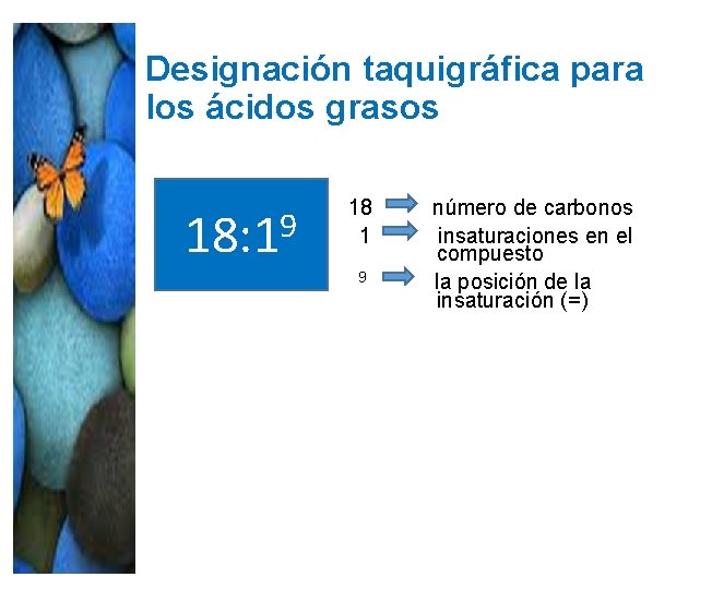 Designación taquigráfica para los ácidos grasos 18: 19 18 número de carbonos 1 insaturaciones Designación taquigráfica para los ácidos grasos 18: 19 18 número de carbonos 1 insaturaciones