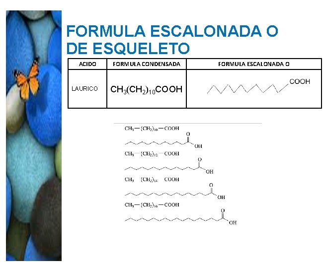 FORMULA ESCALONADA O DE ESQUELETO ACIDO FORMULA CONDENSADA CH 3(CH 2)10 COOH LAURICO FORMULA FORMULA ESCALONADA O DE ESQUELETO ACIDO FORMULA CONDENSADA CH 3(CH 2)10 COOH LAURICO FORMULA
