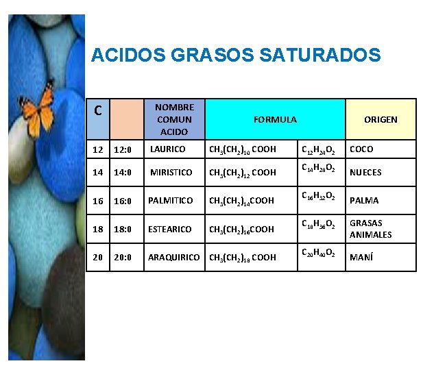 ACIDOS GRASOS SATURADOS C NOMBRE COMUN ACIDO FORMULA 12 12: 0 LAURICO CH 3(CH ACIDOS GRASOS SATURADOS C NOMBRE COMUN ACIDO FORMULA 12 12: 0 LAURICO CH 3(CH