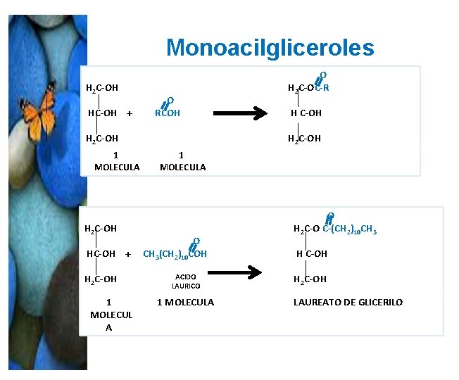 Monoacilgliceroles H 2 C-OH HC-OH + O RCOH H 2 C-OH 1 MOLECULA H Monoacilgliceroles H 2 C-OH HC-OH + O RCOH H 2 C-OH 1 MOLECULA H