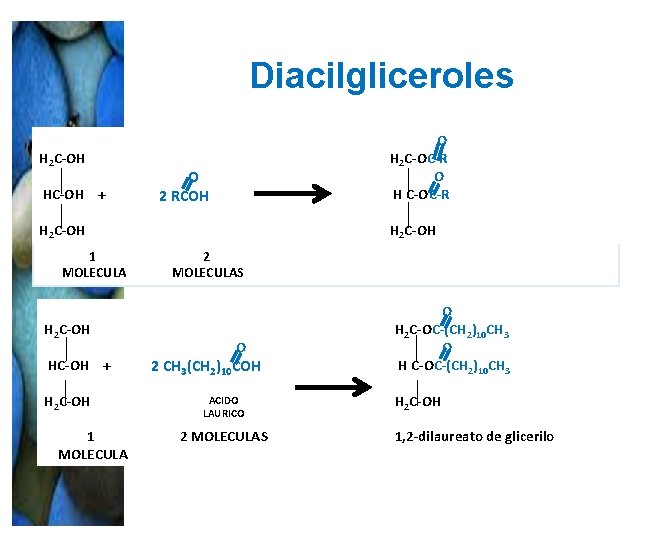 Diacilgliceroles H 2 C-OH HC-OH + O H 2 C-OC-R O H C-OC-R O Diacilgliceroles H 2 C-OH HC-OH + O H 2 C-OC-R O H C-OC-R O