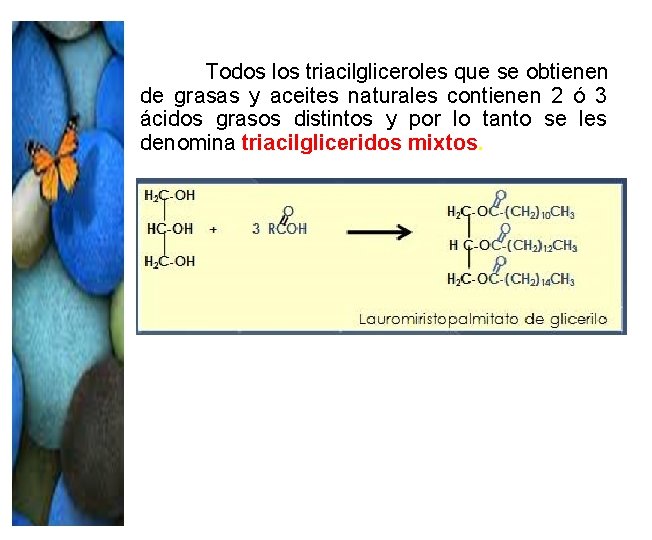 Todos los triacilgliceroles que se obtienen de grasas y aceites naturales contienen 2 ó Todos los triacilgliceroles que se obtienen de grasas y aceites naturales contienen 2 ó