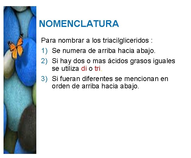 NOMENCLATURA Para nombrar a los triacilgliceridos : 1) Se numera de arriba hacia abajo. NOMENCLATURA Para nombrar a los triacilgliceridos : 1) Se numera de arriba hacia abajo.