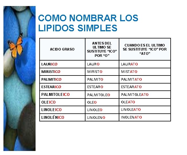 COMO NOMBRAR LOS LIPIDOS SIMPLES ACIDO GRASO ANTES DEL ULTIMO SE SUSTITUYE “ICO” POR COMO NOMBRAR LOS LIPIDOS SIMPLES ACIDO GRASO ANTES DEL ULTIMO SE SUSTITUYE “ICO” POR