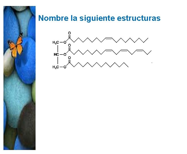 Nombre la siguiente estructuras Nombre la siguiente estructuras