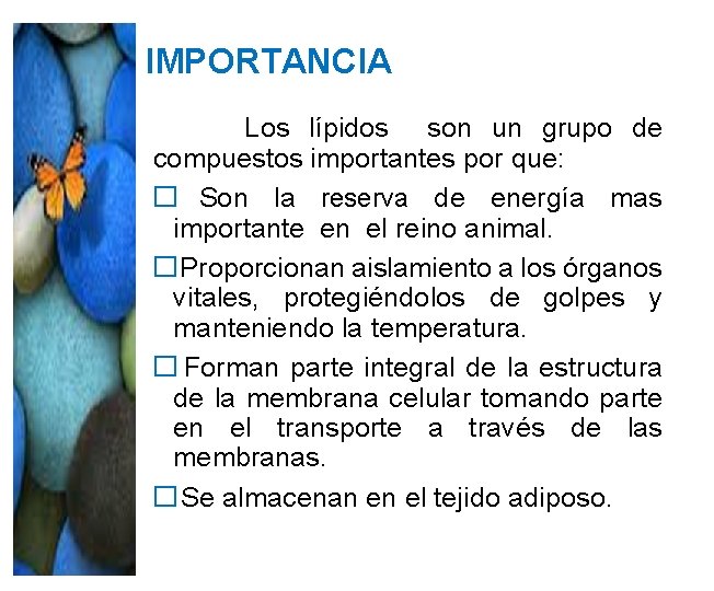 IMPORTANCIA Los lípidos son un grupo de compuestos importantes por que: � Son la IMPORTANCIA Los lípidos son un grupo de compuestos importantes por que: � Son la