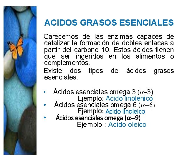 ACIDOS GRASOS ESENCIALES Carecemos de las enzimas capaces de catalizar la formación de dobles ACIDOS GRASOS ESENCIALES Carecemos de las enzimas capaces de catalizar la formación de dobles