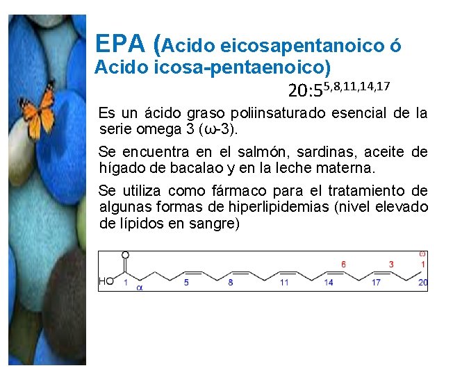 EPA (Acido eicosapentanoico ó Acido icosa-pentaenoico) 20: 55, 8, 11, 14, 17 Es un EPA (Acido eicosapentanoico ó Acido icosa-pentaenoico) 20: 55, 8, 11, 14, 17 Es un