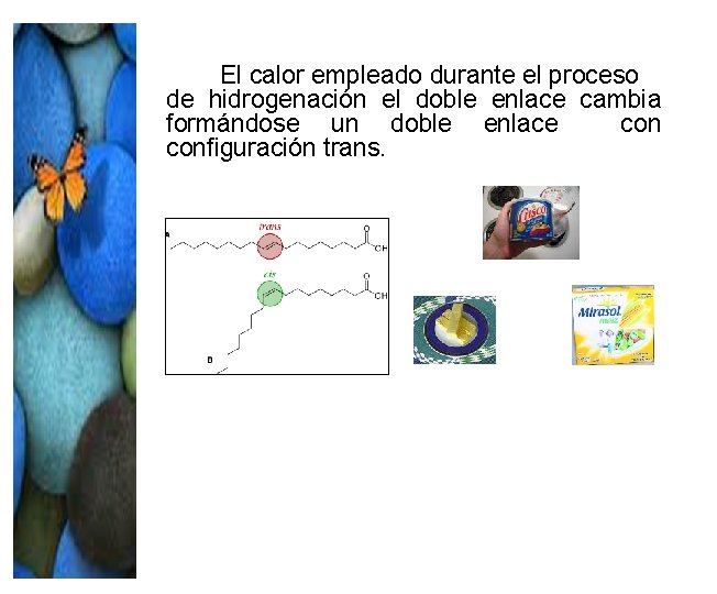 El calor empleado durante el proceso de hidrogenación el doble enlace cambia formándose un El calor empleado durante el proceso de hidrogenación el doble enlace cambia formándose un