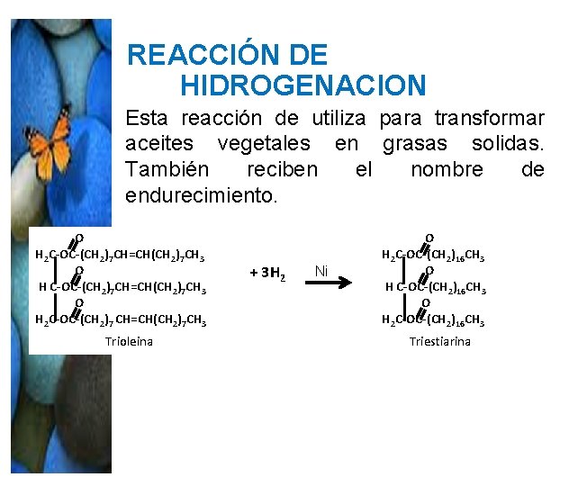 REACCIÓN DE HIDROGENACION Esta reacción de utiliza para transformar aceites vegetales en grasas solidas. REACCIÓN DE HIDROGENACION Esta reacción de utiliza para transformar aceites vegetales en grasas solidas.