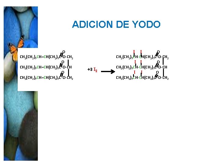 ADICION DE YODO O CH 3(CH 2)7 CH=CH(CH 2)7 C-O-CH 2 +3 I 2 ADICION DE YODO O CH 3(CH 2)7 CH=CH(CH 2)7 C-O-CH 2 +3 I 2