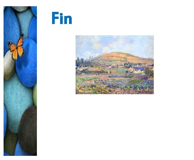 Fin Fin