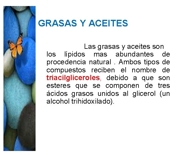 GRASAS Y ACEITES Las grasas y aceites son los lípidos mas abundantes de procedencia GRASAS Y ACEITES Las grasas y aceites son los lípidos mas abundantes de procedencia
