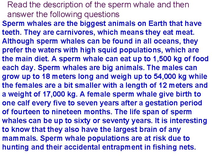 Read the description of the sperm whale and then answer the following questions Sperm