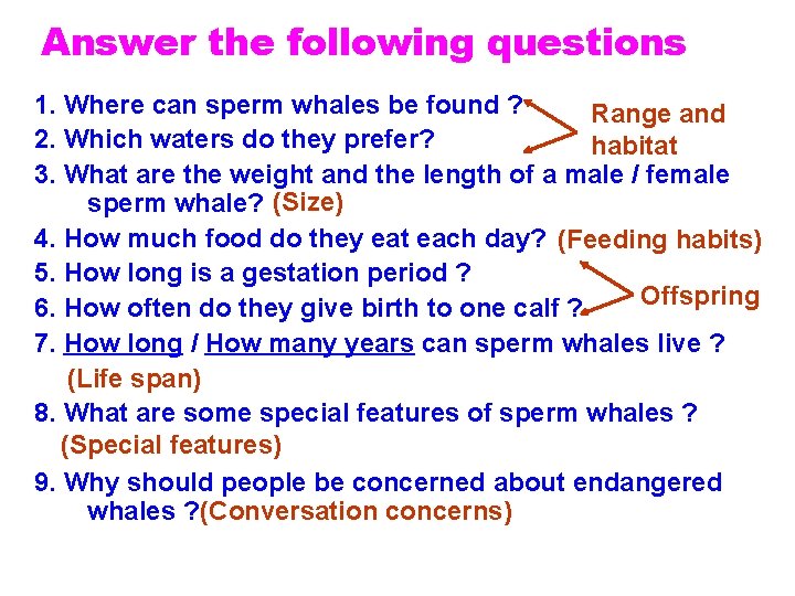 Answer the following questions 1. Where can sperm whales be found ? Range and