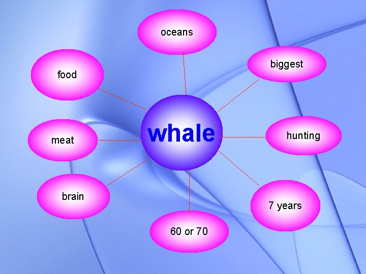 oceans biggest food meat whale brain hunting 7 years 60 or 70 